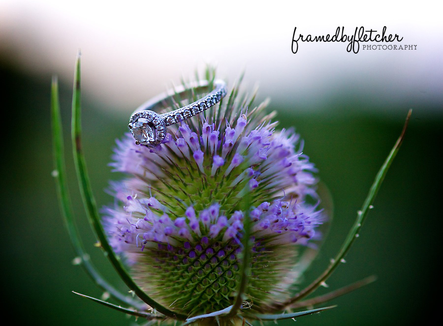 NashvilleWeddingPhotographerHolly 031
